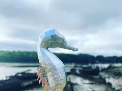 HIPPOCAMPE